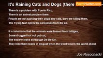 Joe Rosochacki - It’s Raining Cats and Dogs (there are poodles, - puddles everywhere)