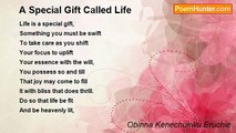Obinna Kenechukwu Eruchie - A Special Gift Called Life