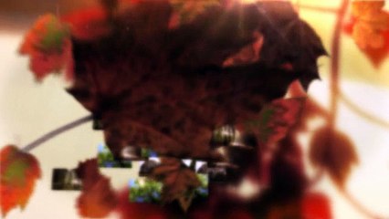 Payless Tree Service (770) 285-2347