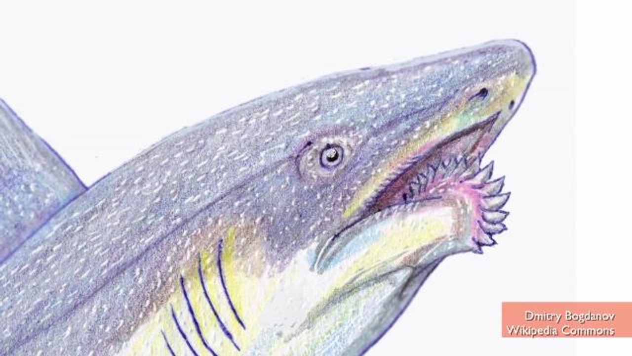 Six Creatures We're Glad Are Extinct