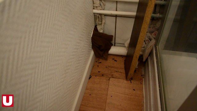 A Revin, dans les Ardennes, la maison des rats