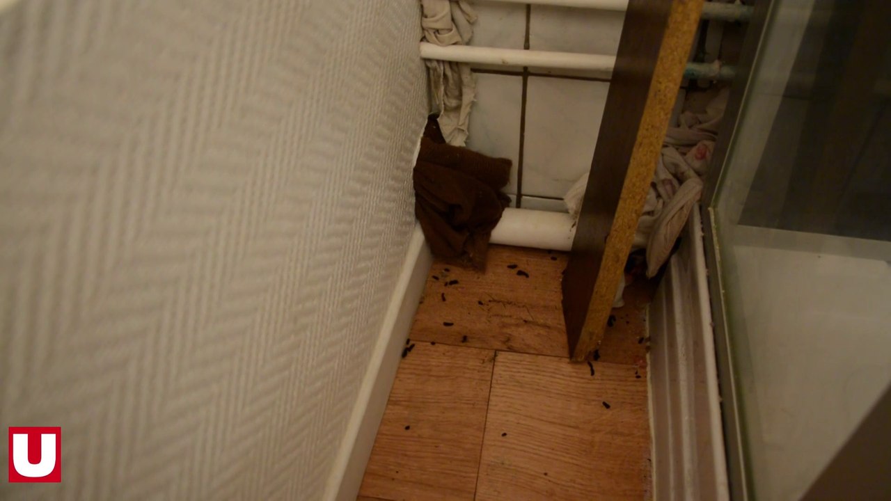 A Revin, dans les Ardennes, la maison des rats