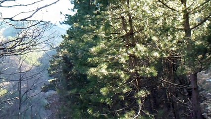 Kazdağları Gezilerinden - Eyüp Sessiz - 2013