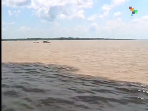 Brazil congratulated on reduced deforestation and greenhouse gases