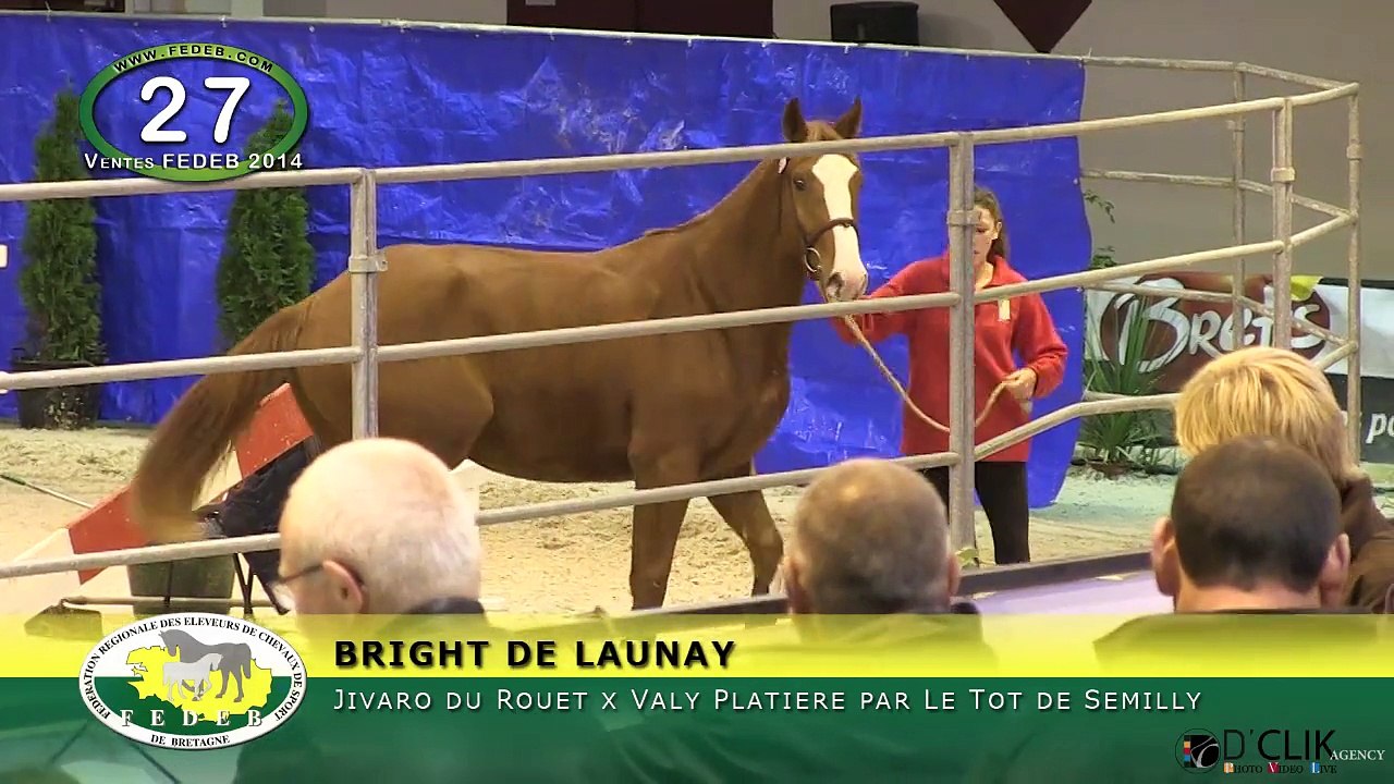BRIGHT DE LAUNAY