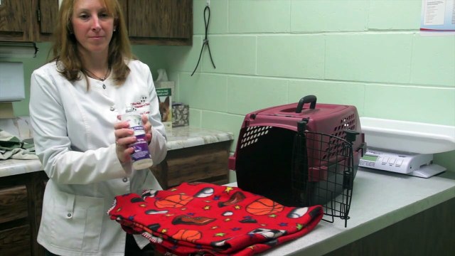 Welcome to Clifton Park Veterinary Clinic