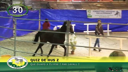 Quiz de Hus Z 🐾