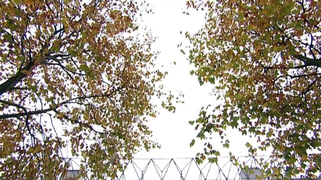 Inghilterra-Nuova Zelanda, la vigilia