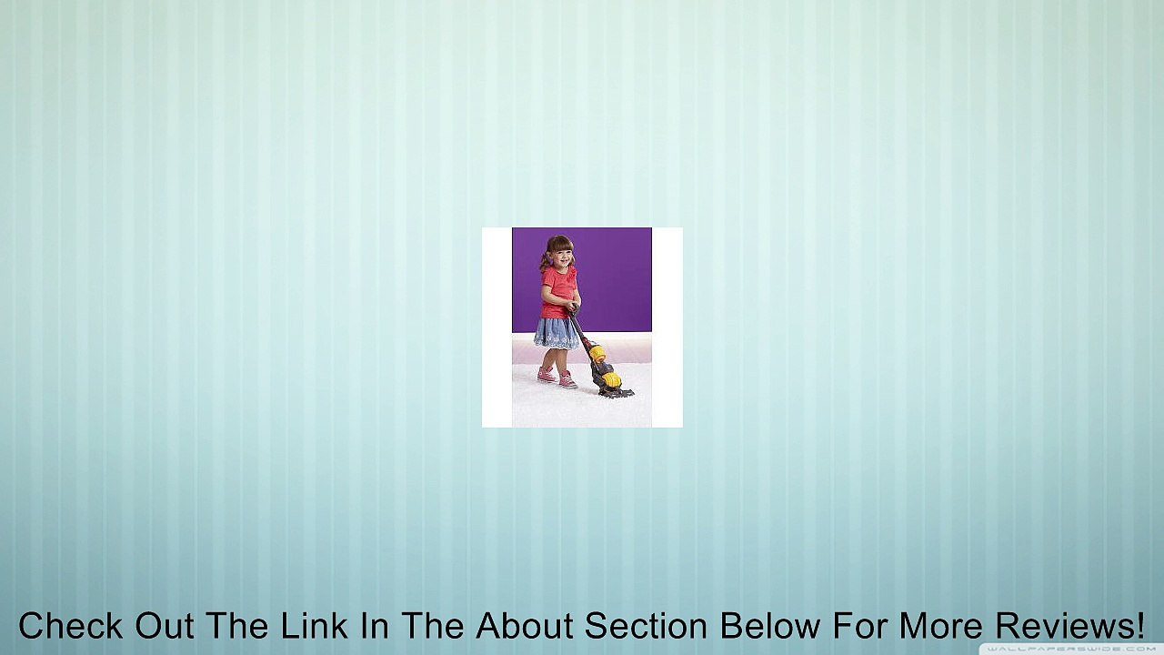 Just Like Home Dyson Ball Vacuum Cleaner Review