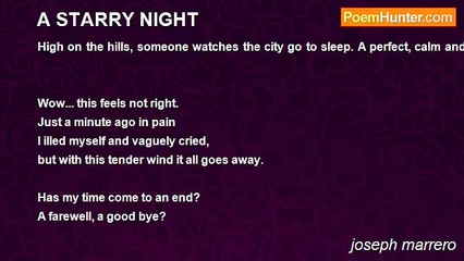 joseph marrero - A STARRY NIGHT