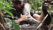 Man Says He Will be Eaten Alive by Anaconda on TV