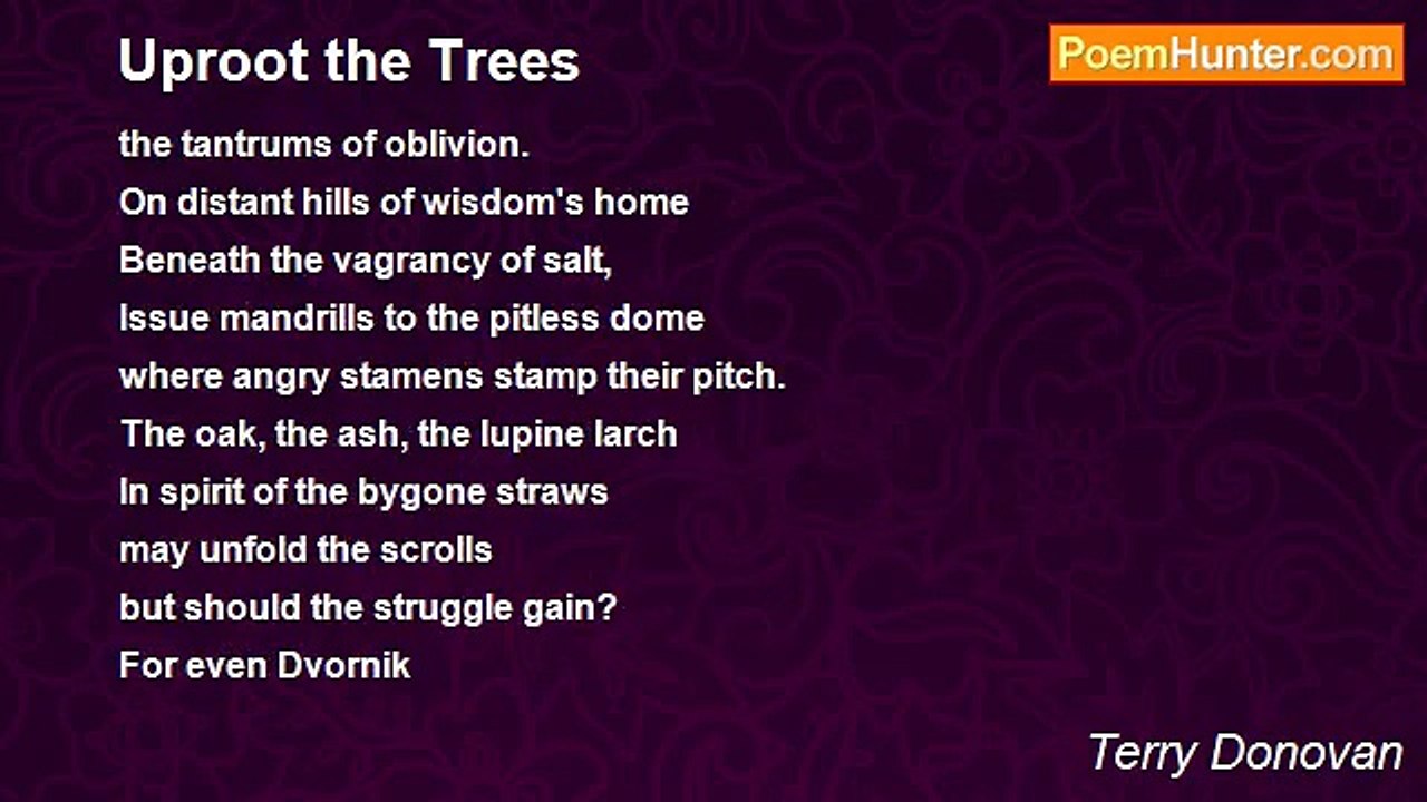 Terry Donovan - Uproot the Trees