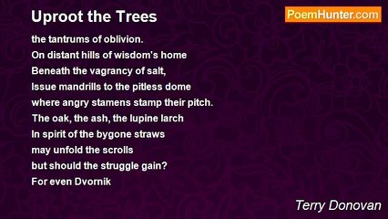 Terry Donovan - Uproot the Trees