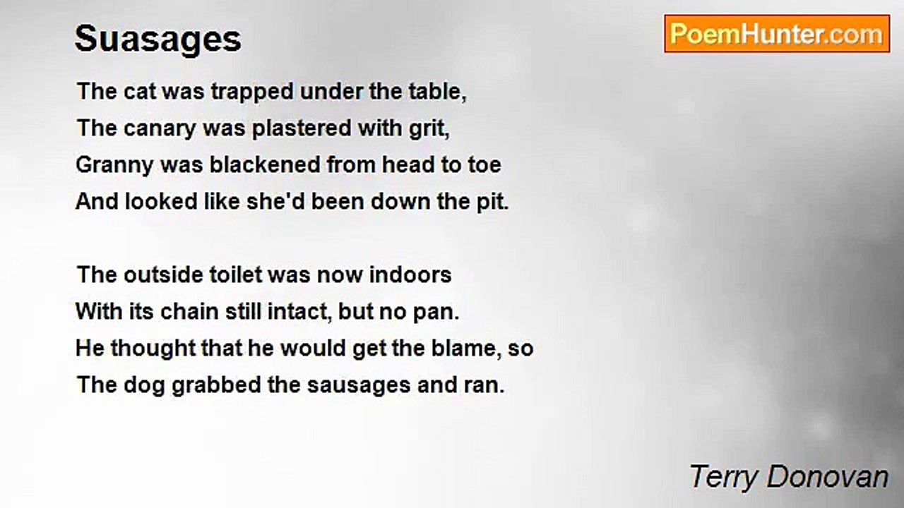 Terry Donovan - Suasages