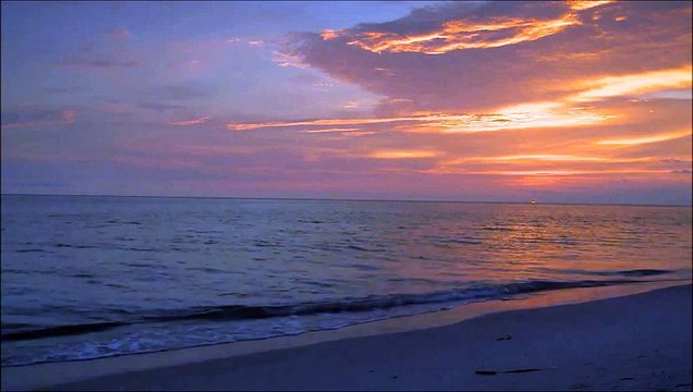 Candid Moment Piano & Orchestra Theme,Patrick Stafford & Montreal Symphonic Academic Orchestra Video Clip 4K.