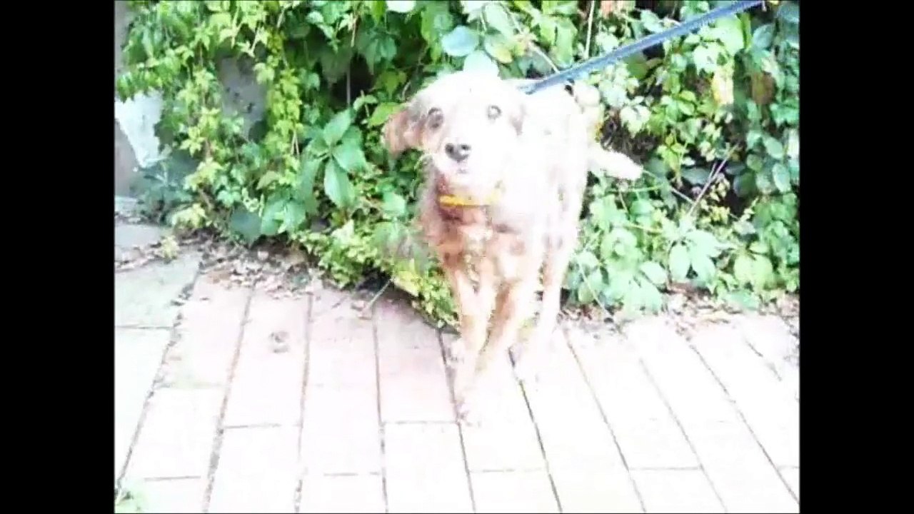 Kessi in Bielefeld