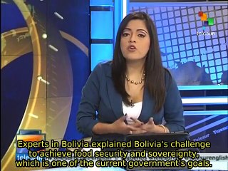 Gov't and experts analyzing Bolivia's challenge to reach food security