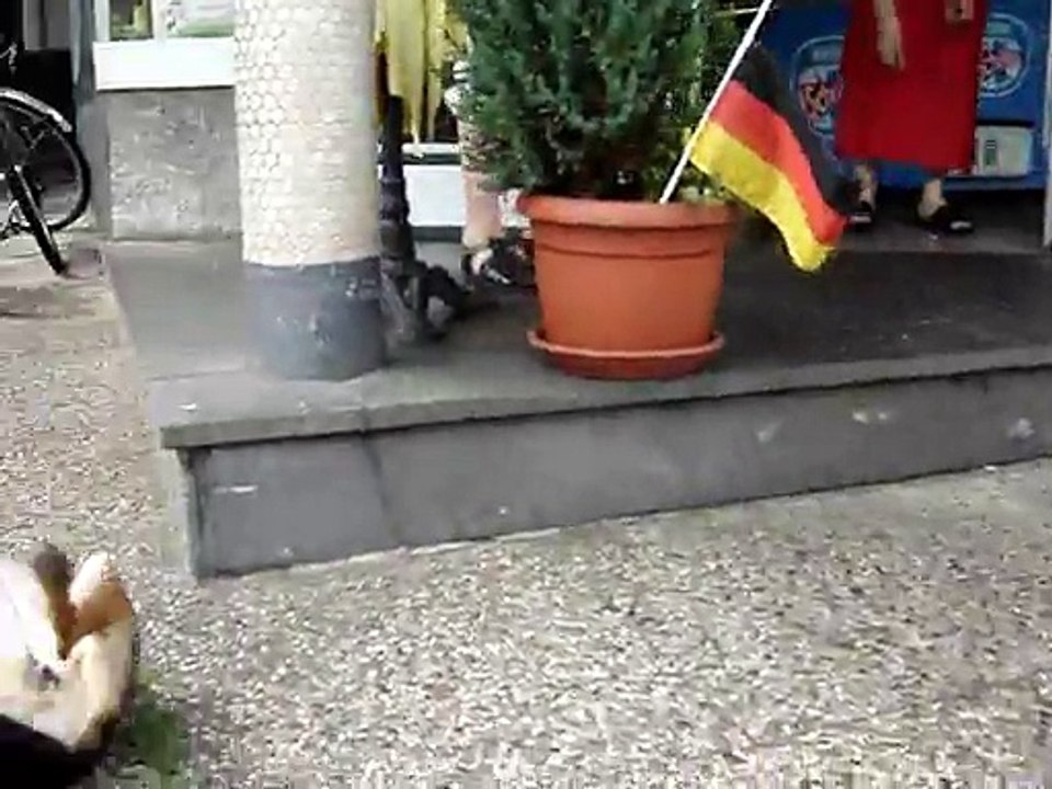 Amsel Peter und Elli