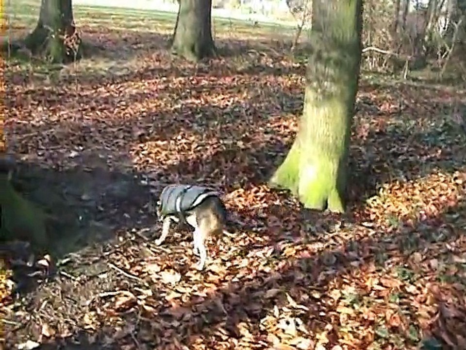 elli14.12.