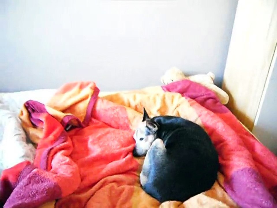 Elli Maus