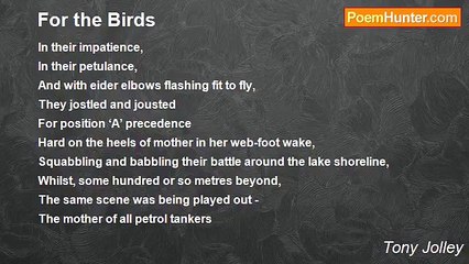 Tony Jolley - For the Birds