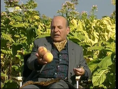 Horizontes da Memória - 2000 - Ponte de Encontro