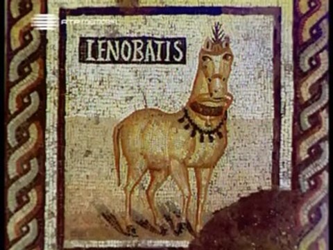 Horizontes da Memória - 2002 - Monforte, Charneca Em Flor