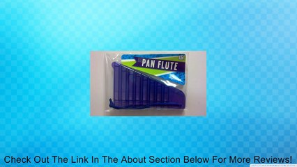 Small Toy Plastic Pan Flute Review