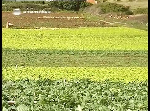Horizontes da Memória - 1997 - Passeios de ao Pé da Porta