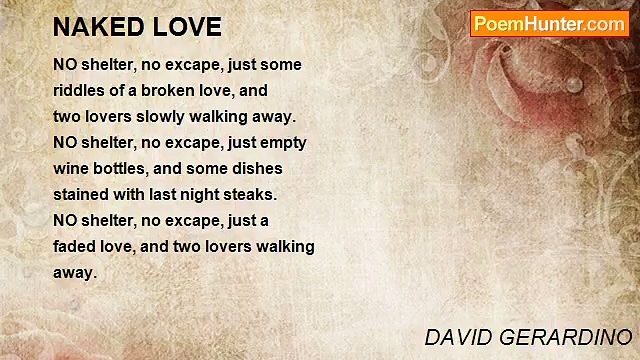 DAVID GERARDINO - NAKED LOVE