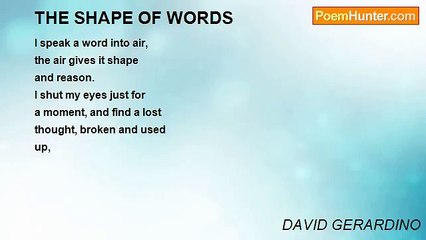 DAVID GERARDINO - THE SHAPE OF WORDS