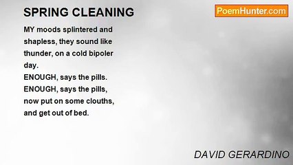 DAVID GERARDINO - SPRING CLEANING