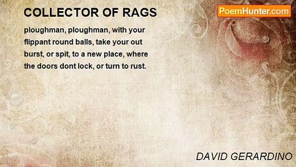 DAVID GERARDINO - COLLECTOR OF RAGS