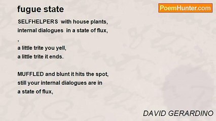 DAVID GERARDINO - fugue state