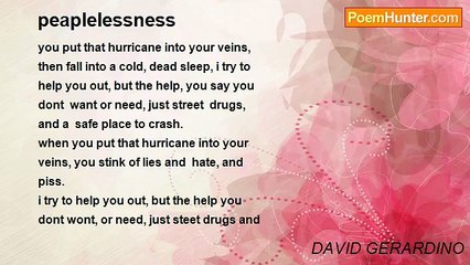 DAVID GERARDINO - peaplelessness