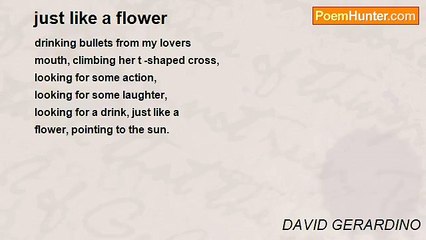 DAVID GERARDINO - just like a flower