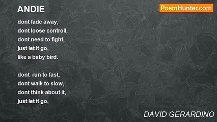 DAVID GERARDINO - ANDIE