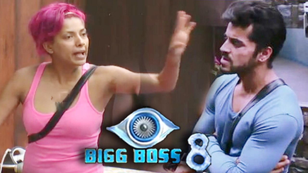 Diandra Soares PROVOKES Gautam Gulati | BIGG BOSS 8