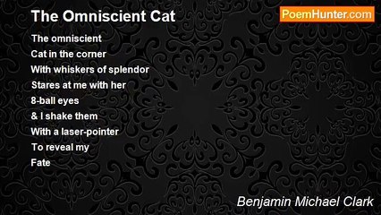 Benjamin Michael Clark - The Omniscient Cat