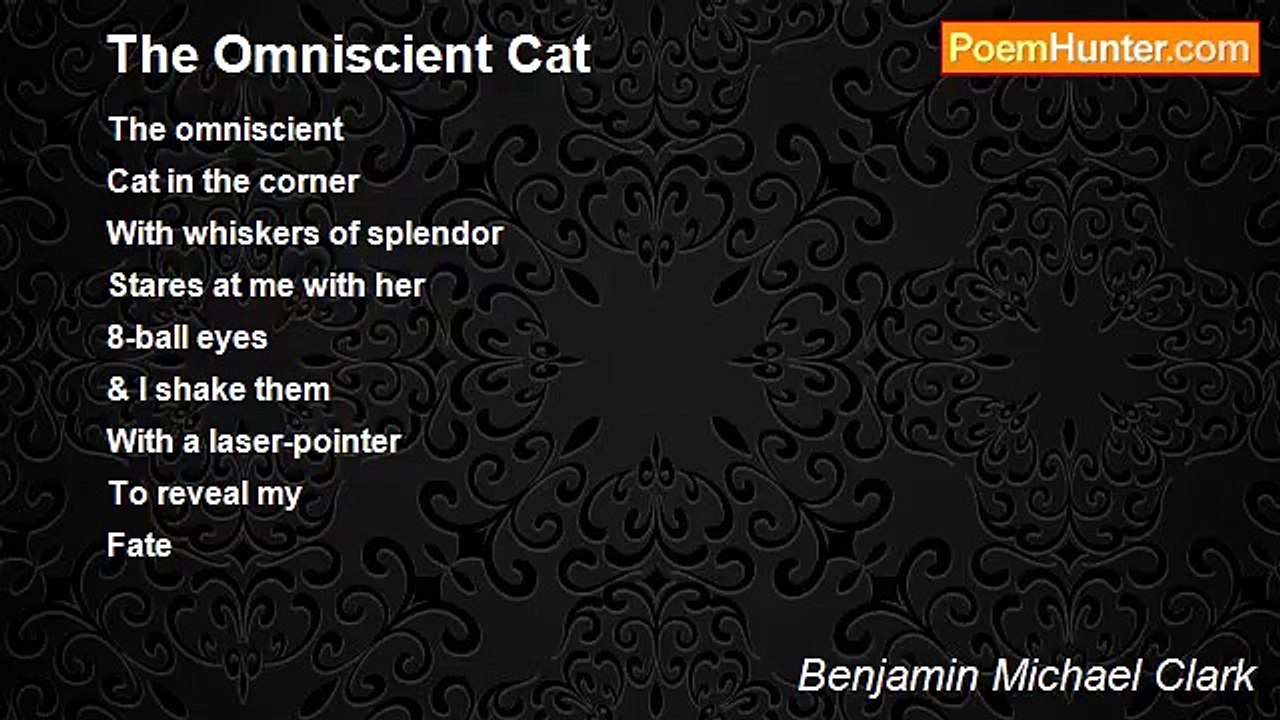 Benjamin Michael Clark - The Omniscient Cat