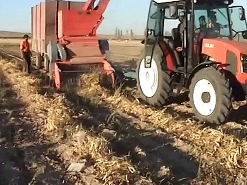 FASULYE HASAT MAKİNASI TOPLAR DÖVER