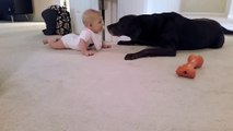 Baby’s First Crawl Has Cutest Ending Ever