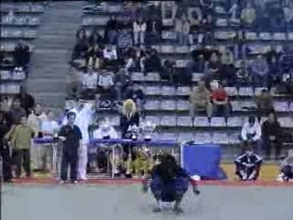 Karate Gymnastics