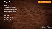 William Blake - The Fly