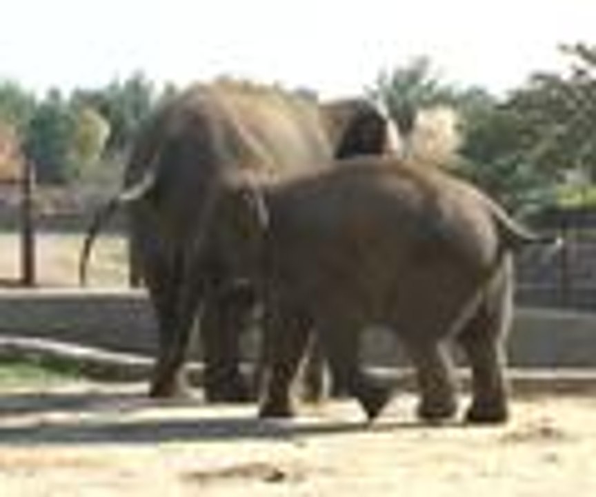 İlk kez gökyüzüyle tanıştı