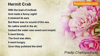 Pradip Chattopadhyay - Hermit Crab