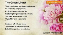 William Wordsworth - The Green Linnet