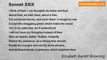Elizabeth Barrett Browning - Sonnet XXIX