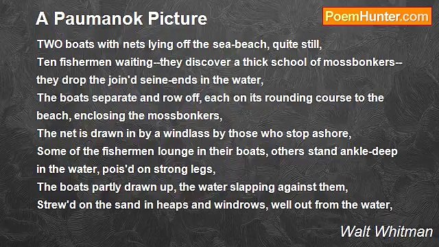 Walt Whitman - A Paumanok Picture