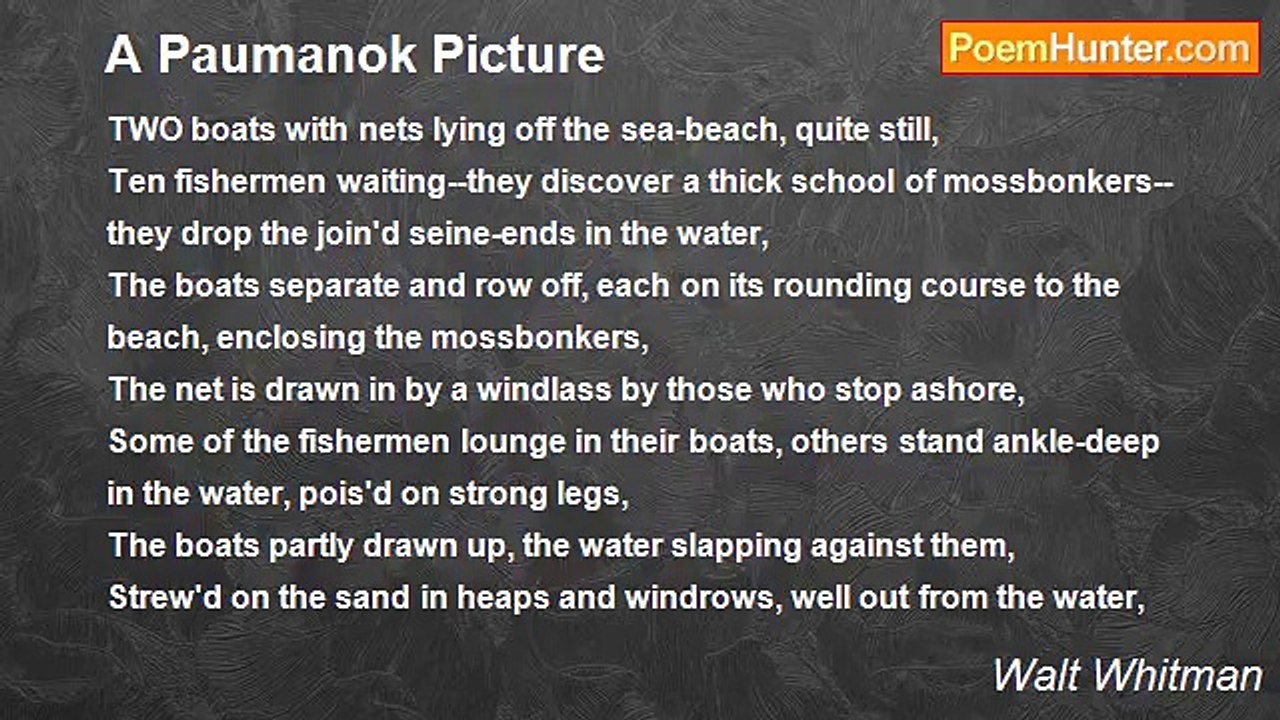 Walt Whitman - A Paumanok Picture